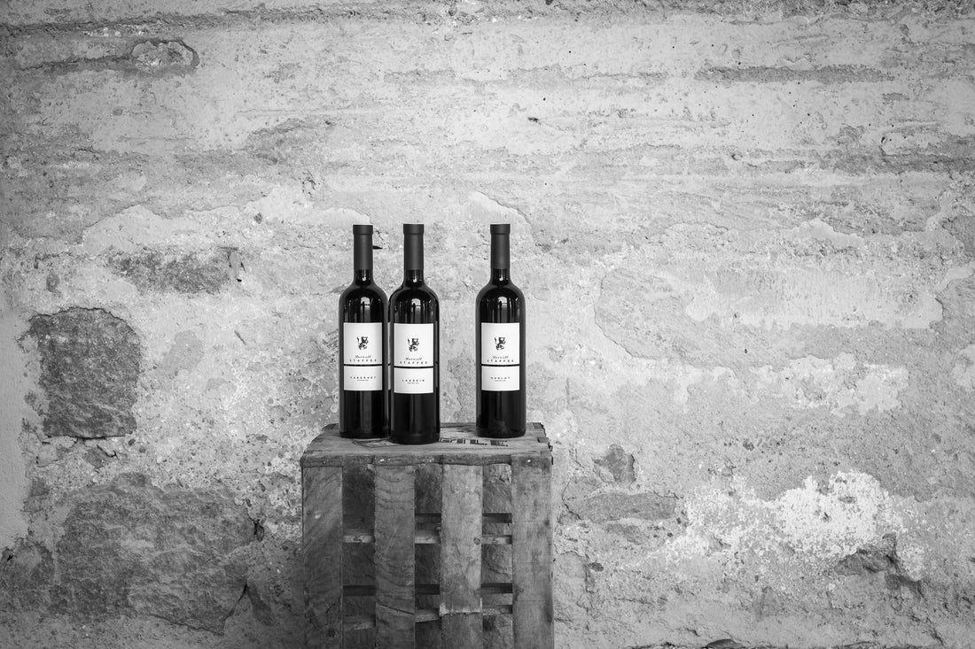 THE WINE JOURNAL BY EROS TEBONI